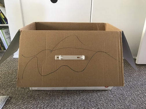 cardboard box house