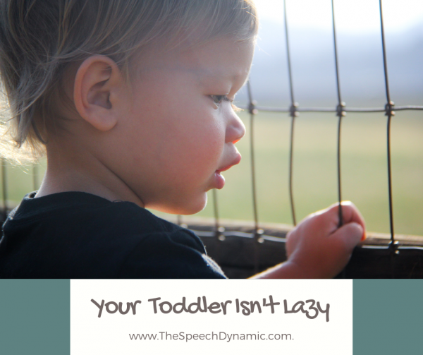 toddler with speech delay