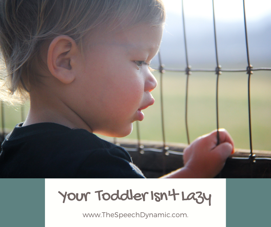 toddler with speech delay